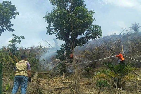 Kebakaran lahan di Desa Merangin, Kecamatan Kuok, Kabupaten Kampar, Provinsi Riau, Minggu (3/10)