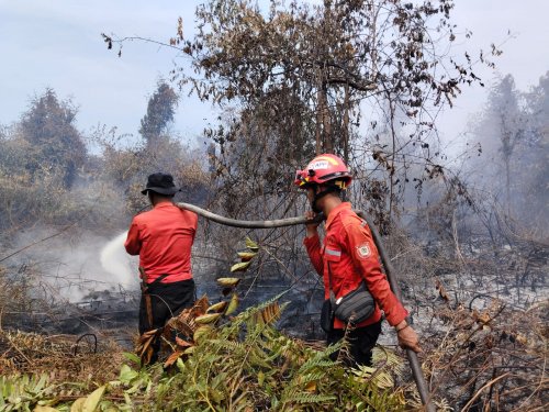 PT Arara Abadi-APP Group turunkan pasukan darat dan heli padamkan Karhutla di Siak (foto/ist)