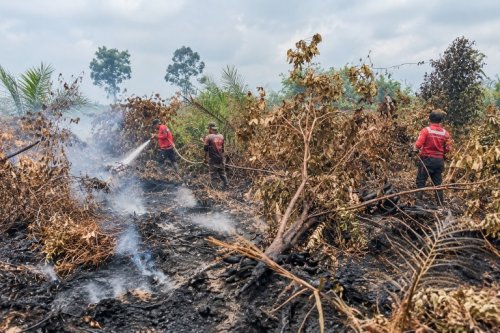 Ilustrasi BMKG catat belasan hotspot atau titik panas di Riau (foto/int)