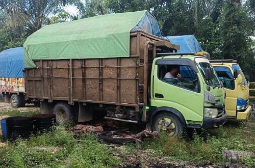 Truk pengangkut kayu ilegal logging diamankan di Kampar.(foto: mcr)