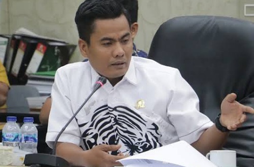 Wakil Ketua DPRD Riau, Budiman Lubis.(foto: int)