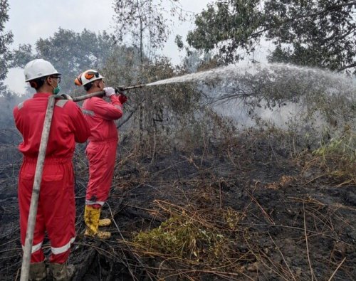 Tim pemadam kebakaran dari EMP Bentu Limited bersama mitra kerja turut memadamkan api di Desa Rantau Baru, Kabupaten Pelalawan. Selain itu, EMP Bentu juga ikut membagikan masker sebagai antisipasi dampak kabut asap