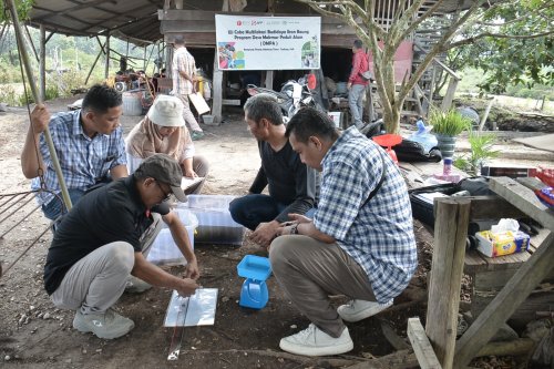 Cegah Karhutla dengan program DMPA perikanan air tawar, PT Arara Abadi tingkatkan ekonomi masyarakat dengan beternak baung (foto/ist)