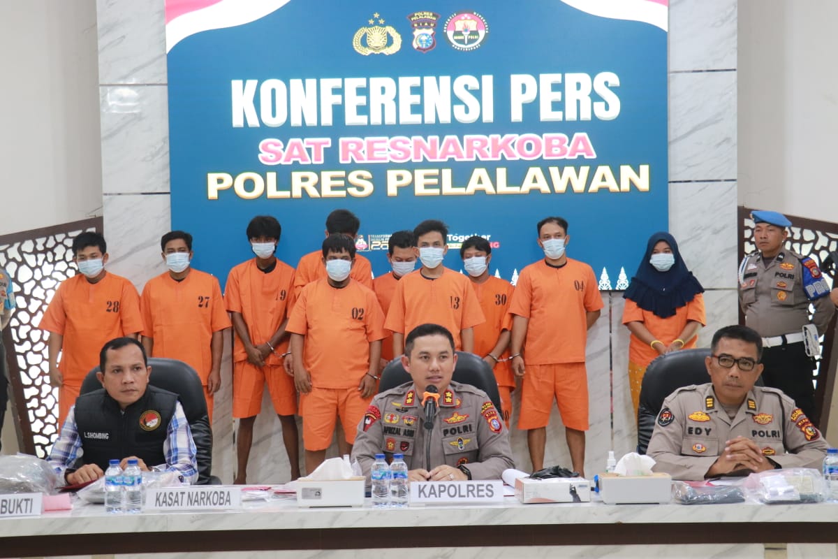 27 tersangka jaringan pengedar ganja dibekuk Satnarkoba Polres Pelalawan (foto/Andy)