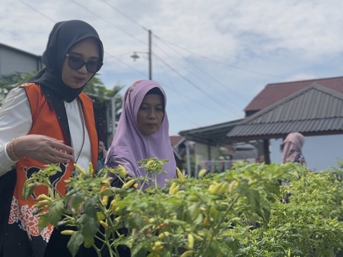 Program BRInita dari BRI Peduli telah berhasil mendorong kemandirian pangan warga Kelurahan Air Dingin Pekanbaru. (Foto: Sri Wahyuni)
