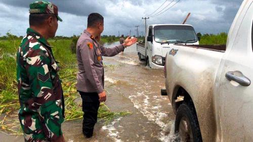 Banjir di Pelalawan.(foto: tribunpekanbaru.com)