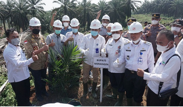 Sinar Mas Agribusiness and Food melalui anak usahanya PT Kresna Duta Agroindo melaksanakan replanting perdana program peremajaan kebun kelapa sawit di Jambi. 
