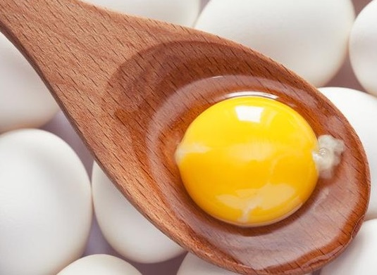 ilustrasi kuning telur