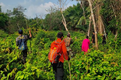 Lansia 80 tahun hilang di perkebunan Meranti (foto/int)