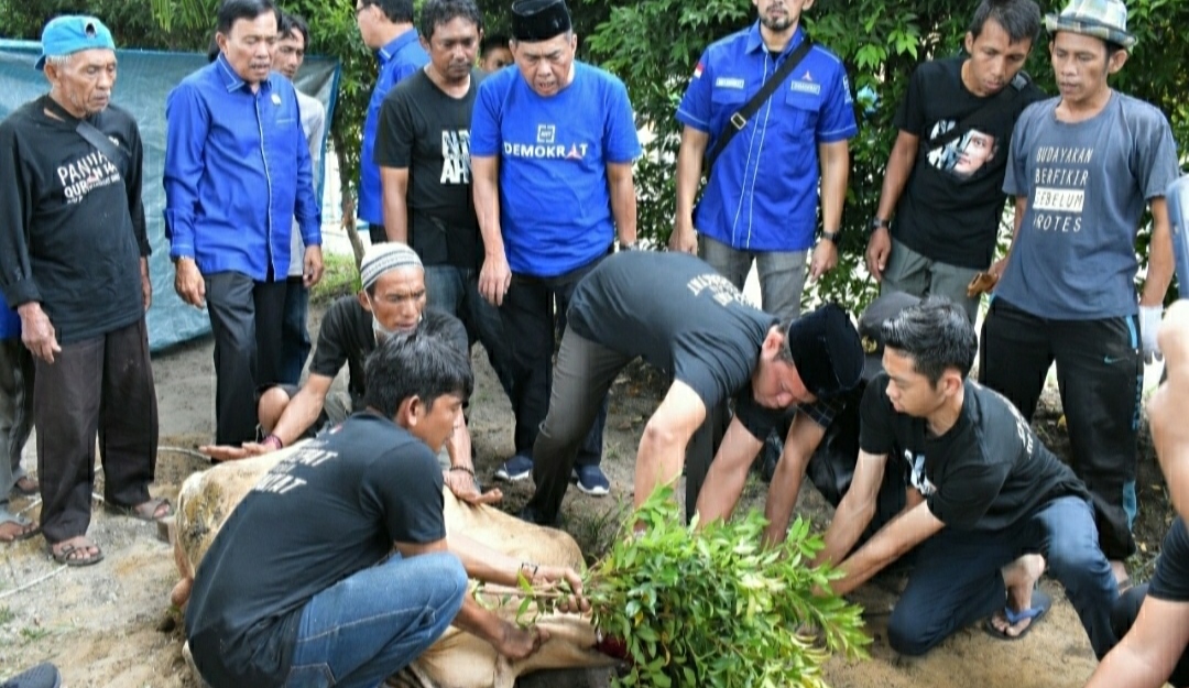 Pemotongan hewan kurban DPD Demokrat Riau. 