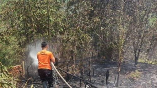 Petugas dari BPBD Kota Pekanbaru melakukan pemadaman kebakaran lahan terbakar di kawasan Kecamatan Rumbai beberapa waktu lalu. (Foto: Tribun Pekanbaru)