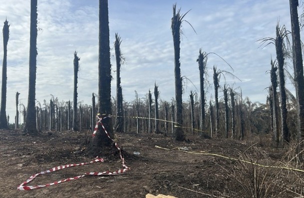 Polda Riau memasang police line di lokasi kebocoran pipa gas PT TGI (foto/rri)