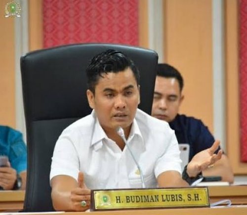 Wakil Ketua DPRD Riau Budiman Lubis.
