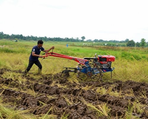 Medy, Ketua Kelompok Tani Tanjung Pulai menggemburkan lahan sawah menggunakan hand tractor bantuan CD RAPP.