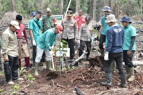 58 ribu lebih bibit pohon tanaman hutan, PT SPM laksanakan rehabilitasi kawasan konservasi pasca-kebakaran (foto/ist)