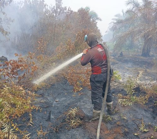 Ilustrasi BMKG mendeteksi satu hotspot di Riau (foto/int)