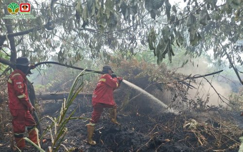Manggala Agni tempuh 2 Km jalan kaki demi taklukkan Karhutla di Mak Teduh, Pelalawan (foto/ist)