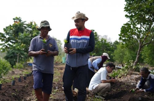 Pokmas Alam Tani binaan Pertamina Patra Niaga Kilang Dumai optimalkan produktivitas lahan gambut di Kelurahan Tanjung Palas (ist)