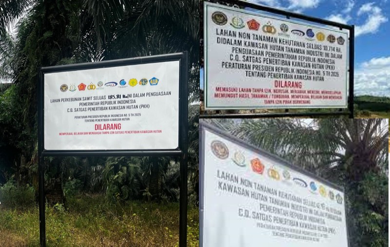 Eks penggarap diduga kuasai lagi lahan sitaan Satgas PKH (foto/ist)