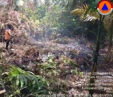 Tim gabungan sedang melakukan pendinginan di areal kebakaran hutan dan lahan di Desa Kembung Luar, Kecamatan Bantan Bengkalis, Kamis (20/2/2025). Luas lahan yang terbakar di area ini mencapai 2 hektare. 
