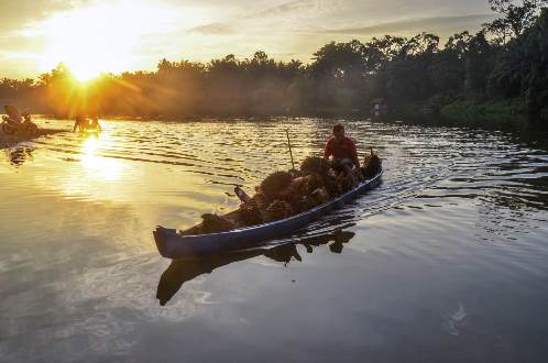 Harga TBS sawit di Riau pekan ini.(foto: sri/halloriau.com)