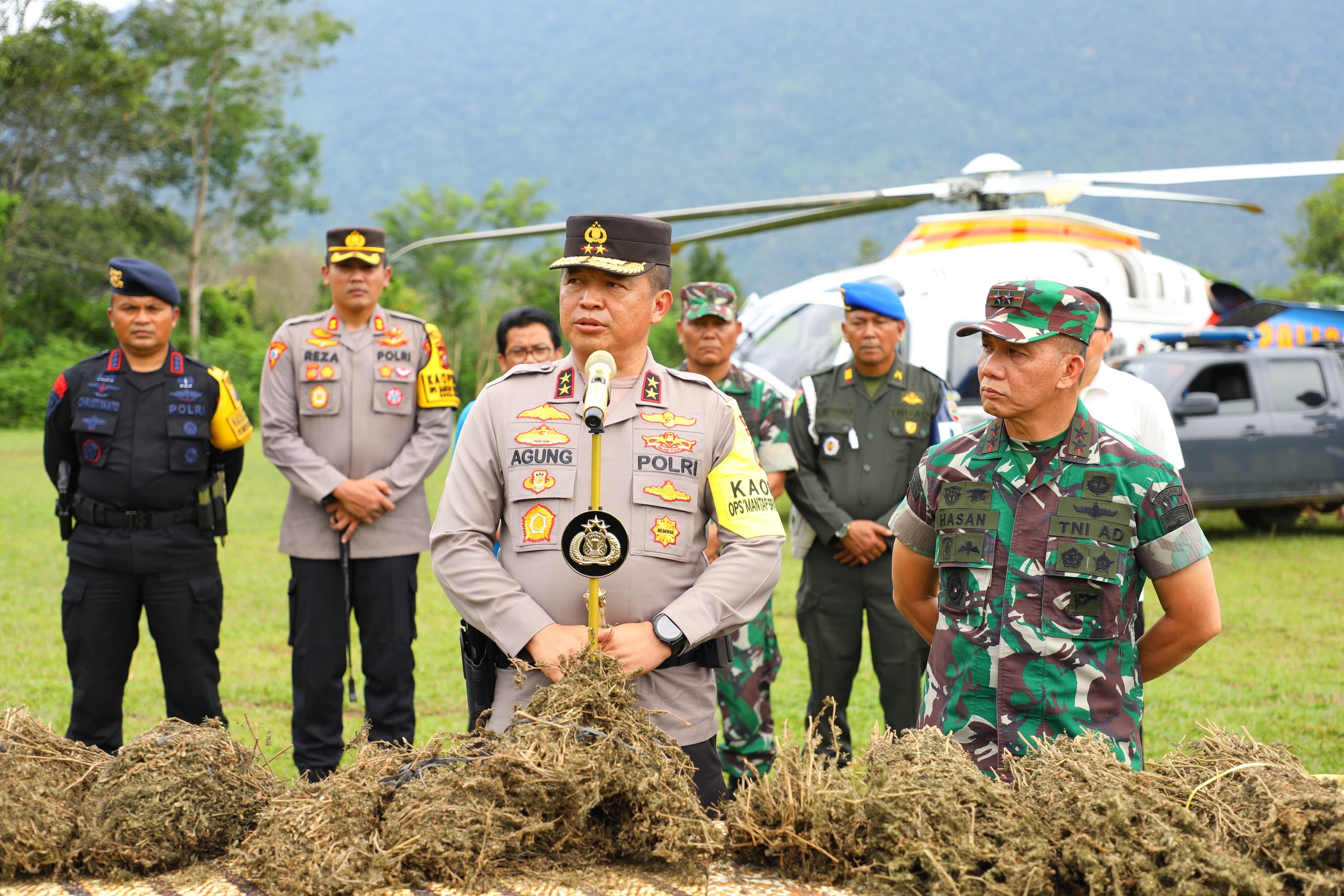 Kapolda Sumut Irjen Agung dan Mayjen Mochammad Hasan membongkar ladang ganja terbesar di Sumut (foto/int)