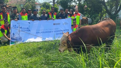 Sambut Iduladha 1447 H, Bandara SSK II Pekanbaru menyalurkan dua ekor sapi untuk warga sekitar (foto/ist)