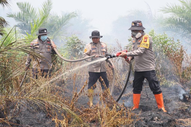 Kapolres Rohil, AKBP Isa Imam pimpin pemadaman Karhutla di Tanah Putih (foto/afrizal)