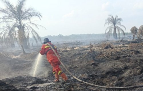 Ilustrasi Riau masih rawan Karhutla (foto/ist)