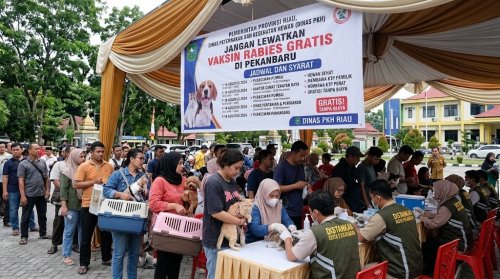 Dinas PKH Riau akan gelar vaksin rabies gratis.(ilustrasi/AI/halloriau.com)