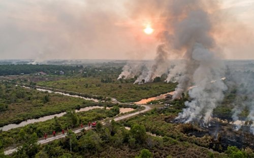 Ribuan titik panas terdeteksi di Sumatera dan Riau sore ini.(ilustrasi/AI/halloriau.com)