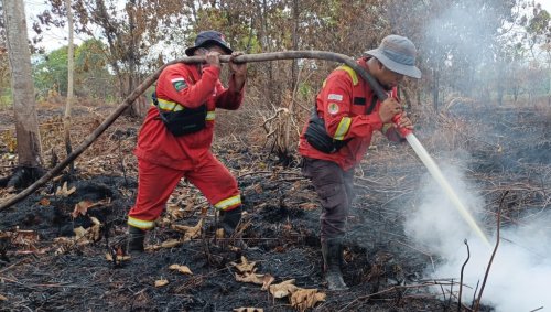 Tim Manggala Agni padamkan karhutla di Kuala Kampar.(foto: mcr)