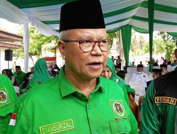 Ketua DPW PPP Riau Syamsurizal (foto:int) 