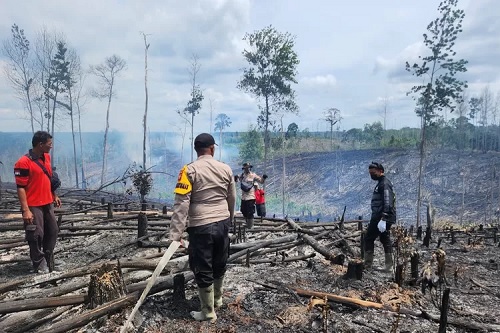 Karhutla di TNTN Pelalawan.(foto: int)
