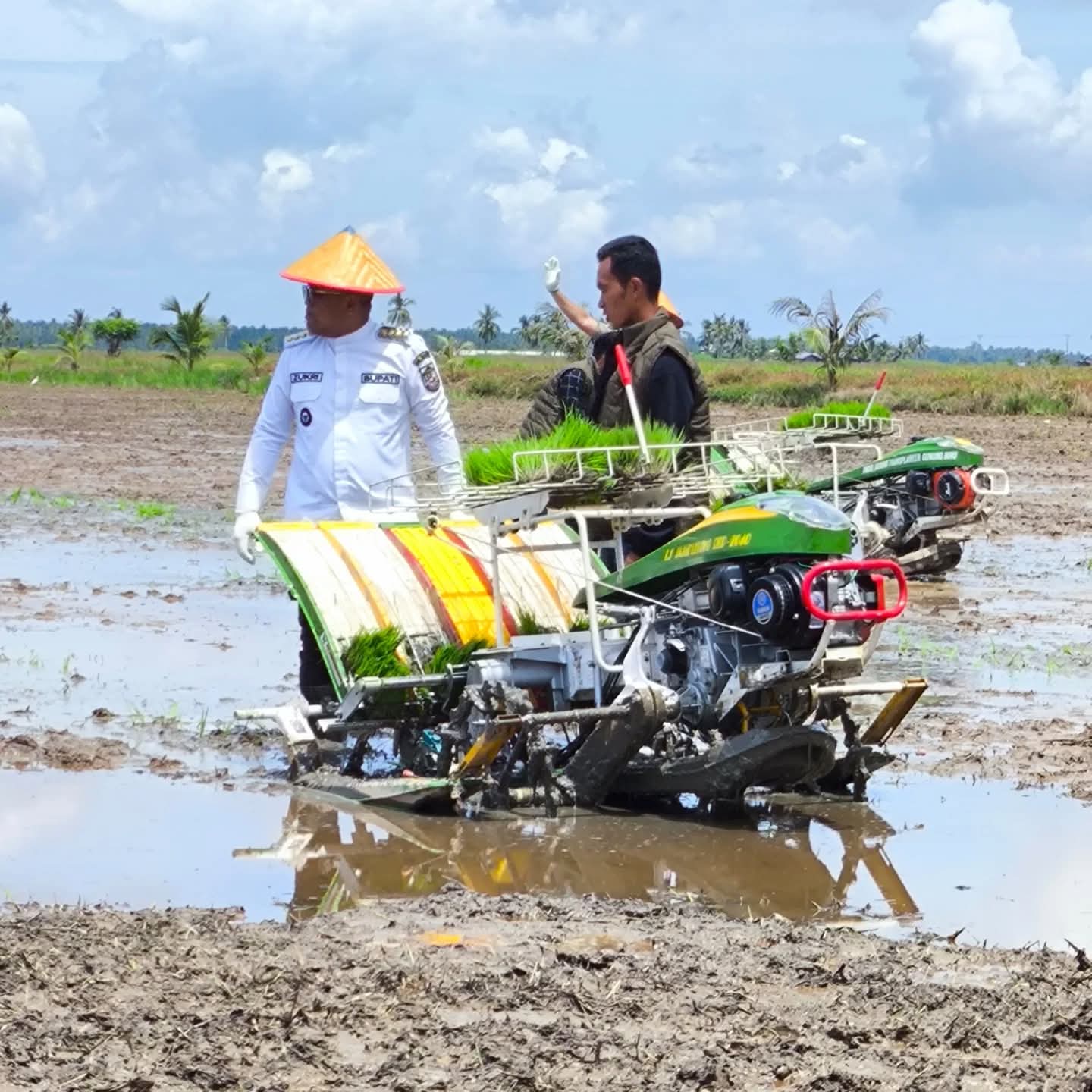 Dorong swasembada pangan, Pemkab Pelalawan melakukan upaya peningkatan produksi padi (foto/Andy)