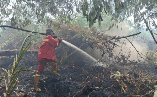 Ilustrasi hotspot yang terdeteksi di Riau hanya tiga titik (foto/int)
