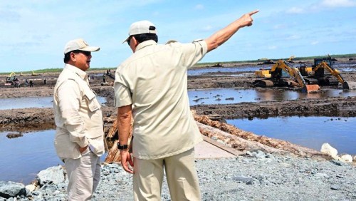 Presiden Prabowo Subianto saat meninjau kegiatan pertanian di Merauke.(foto: detik.com)