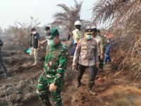 Pangdam dan Kapolda Riau turun langsung ke lokasi Karhutla Dayun, Siak (foto/int)