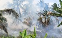 Ilustrasi hotspot di Inhu tertinggi di Riau (foto/int)