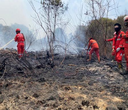 Ilustrasi hotspot di Provinsi Riau sudah mulai turun (foto/int)
