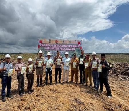 PT IIS melakukan penanaman jagung perdana di areal perkebunan seluas 1,2 hektar di Ukui, Pelalawan, Riau. (Foto: Istimewa)