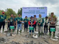 Penanaman mangrove di Desa Bagan Melibur, Kecamatan Merbau, Kabupaten Kepulauan Meranti dalam rangka peringatan Hari Manggrove Sedunia.