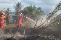 Ilustrasi Manggala Agni hadapi Karhutla di Siak, Rohil, dan Pelalawan (foto/ist)