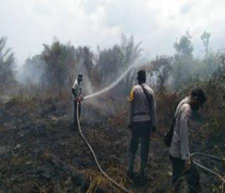 Ilustrasi Riau masih dibayangi ancaman Karhutla (foto/int)