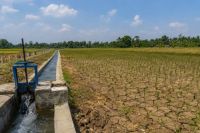 Puncak El Nino diprediksi Agustus.(ilustrasi/int)