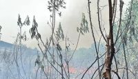 Lahan di Jalan Naga Sakti Pekanbaru dilalap api (foto/tribunpku)