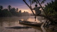 Seorang nelayan di Inhil bertahan di atas pohon menghindari buaya.(ilustrasi/AI/halloriau.com)