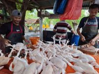 Harga ayam potong di Kota Pekanbaru meroket.(ilustrasi/int)