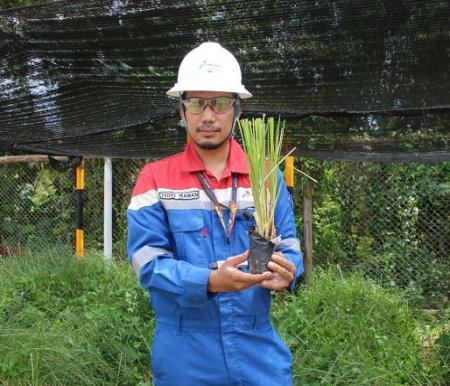 Menumbuhkan Kehidupan Kembali: Langkah PHR Memulihkan Fungsi Tanah di Bumi Riau