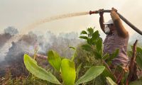 Bupati Pelalawan, Zukri saat ikut memadamkan api karhutla.(foto: andi/halloriau.com)